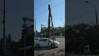 Упало дерево на провод у нас за домом. Киев, площадь Марченко, 06.08.2023