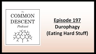 Episode 197 - Durophagy (Eating Hard Stuff)