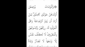 سوره مبارکه بقره آیات ۲۳۲و۲۳۳با معنی گویا گوارای وجودتان #قرآن #قران_كريم #قران #قرآن_كريم #youtube