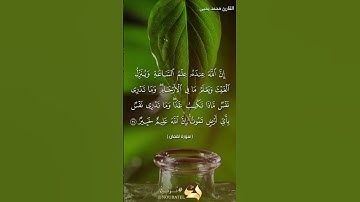 ﴿وَما تَدري نَفسٌ بِأَيِّ أَرضٍ تَموتُ إِنَّ اللَّهَ عَليمٌ خَبيرٌ﴾ قطفٌ قرآني من سورة لقمان