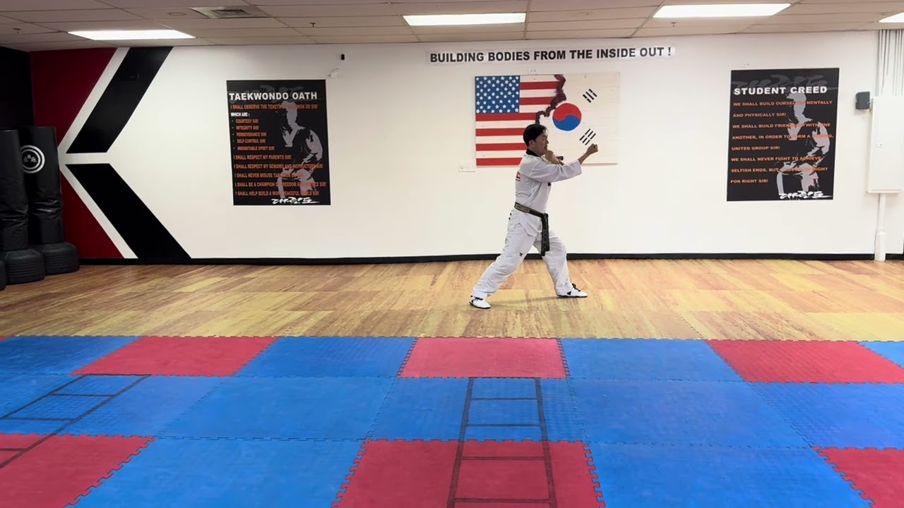 TAE GEUK 8 JANG(ADVANCED NOVEMBER/DECEMBER STUDY VIDEO)