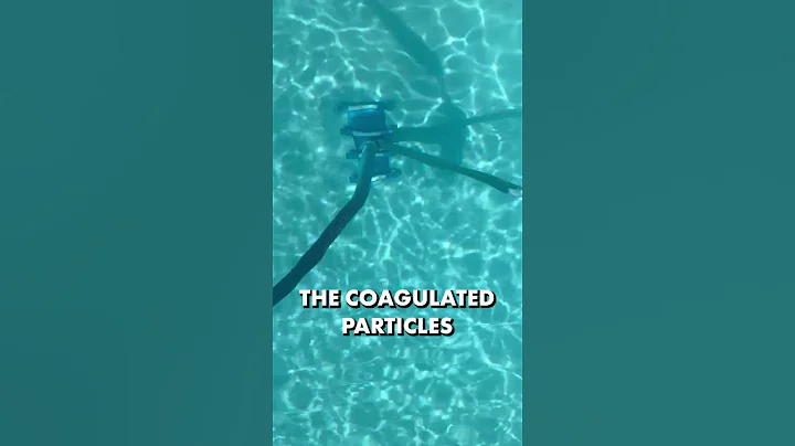 When should I add flocculant to my pool? 🕐 | Swim University - DayDayNews