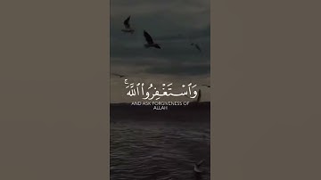 وأستغفر الله إن الله غفور رحيم #ناصر_القطامي #القطامي #آيات