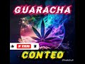 CONTEO GUARACHOSO 🎧 Mix 2025 – Tech / House / Guaracha 🔥 DJ Set Full