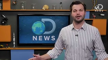 Why You Shouldn’t Fear Artificial Intelligence Clip