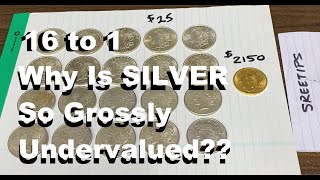 Silver Cell Update and SIXTEEN TO ONE SILVER TO GOLD by sreetips 30,206 views 1 month ago 16 minutes