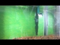 Beginning of video