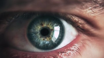 Xailient Selective Attention - Focus on what matters