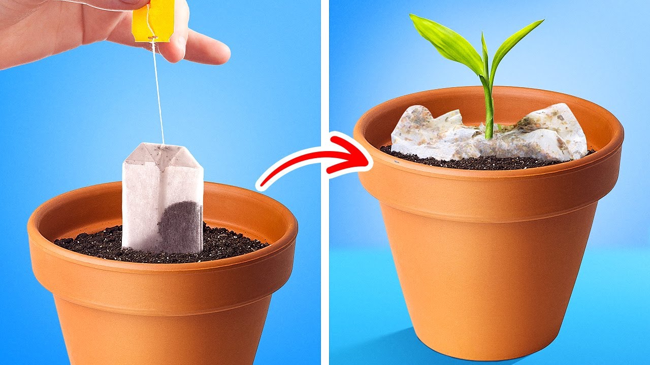 30 Top Gardening Hacks That Actually Work