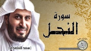 سورة النحل من مصحف التجويد ( القارئ سعد الغامدي )