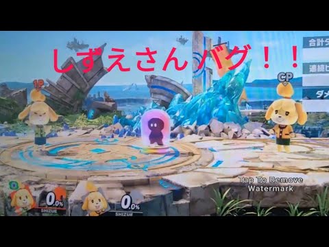 【スマブラSP】しずえさんのバグ　　アシストフィギュア第2弾