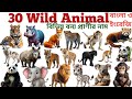 Wild Animal Video| Kids Learn 30 Wild Animal Name In English With Picture| Animal Vocabulary Nursery