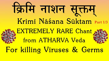 Krimi Nashana Suktam Part 1/3 | RARE Atharva Veda Chant | Destroy Harmful Germs | Sri K Suresh