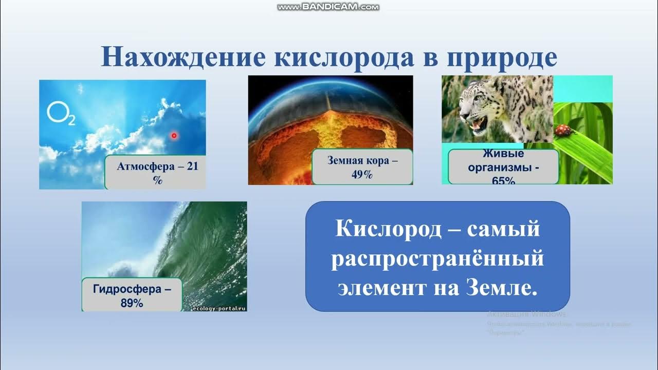 Кислород химический элемент и простое вещество Получение кислорода ...