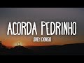 Jovem Dionisio - ACORDA PEDRINHO (Letra/Lyrics)