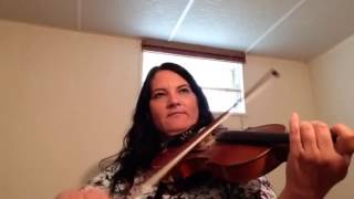 Day 171 - St. Anne's Reel - Patti Kusturok's 365 Days of Fiddle Tunes chords