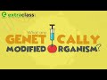 Genetically Modified Organisms and Their Impact on Food and Agriculture