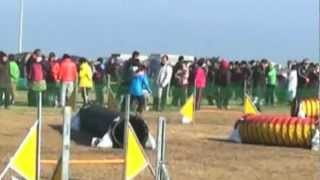 2-19;2012:JKC OSAKA: YOUPI AG2
