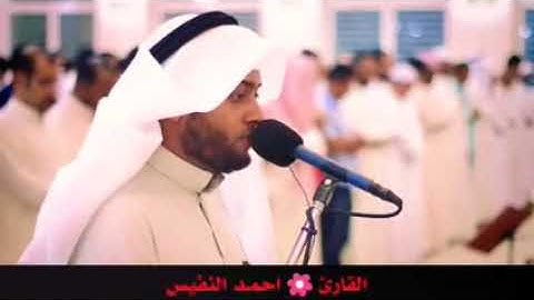 ترتيل خيالي من سوره النمل لقصه سيدنا سليمان وملكة سبأ  والهدهد.. تلذذو
