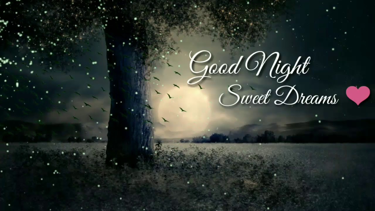 Good Night Status Good Night Videos For Whatsapp Youtube