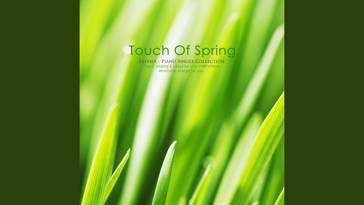 Tonton Spring touch di YouTube Tonton Spring touch di YouTube