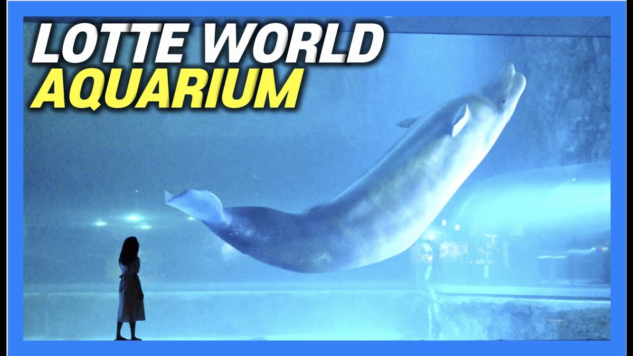 [4K] Последняя белуга в аквариуме Lotte World в Сеуле, Корея