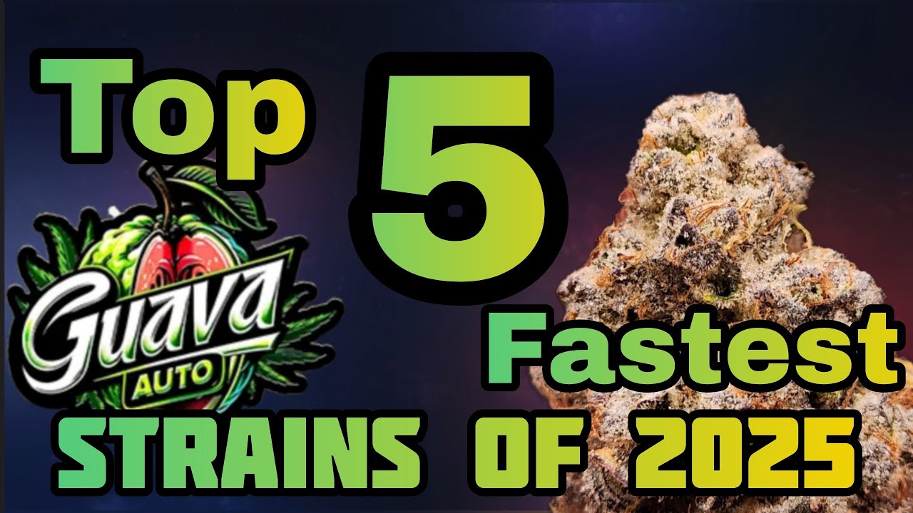 Самые быстрые штаммы 2025 года, Топ-5. 