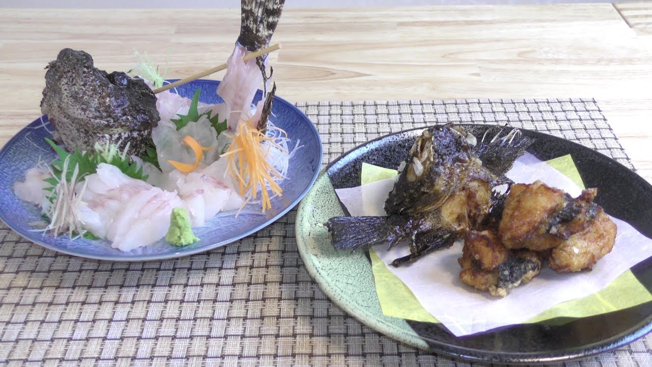 オコゼさばき方 鬼虎魚オコゼ料理 オコゼ唐揚げ オコゼ刺身 の作り方 Youtube