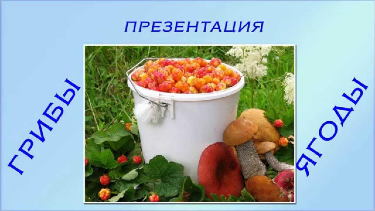 Тема ягоды презентация. Презентация ягоды по технологии из бумаги. Тема ягоды презентация. Тема ягоды презентация. Малина 2.