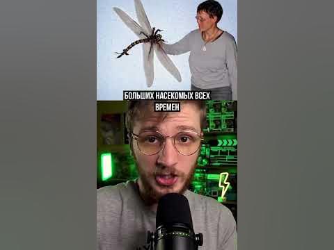 Вымершие животные прошлого - YouTube
