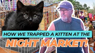 How we Trapped a Kitten at the Night Market!