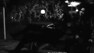 Yasin Fuzuli Omrum Adli Mahnisinan Qisa Status Ucun Vidiyo- 2021