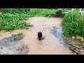 Dung girl fishing girl fishing  best hook fishing  amazing fishingfishing hookfishing amazi