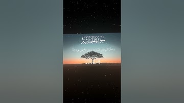 سورة الجاثية|12-13|القارئ:#محمد_اللحيدان #قران #quran #راحة_نفسية #قران_كريم#تلاوة_هادئة#تلاوة_خاشعة