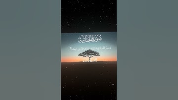 سورة الجاثية|12-13|القارئ:#محمد_اللحيدان #قران #quran #راحة_نفسية #قران_كريم#تلاوة_هادئة#تلاوة_خاشعة