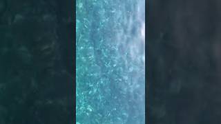 📍小川島/佐賀県唐津市 #drive #vlog #travel #佐賀#離島