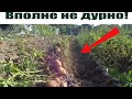 Уборка картофеля мотоблоком с плугом и  дождливые будни в деревне!