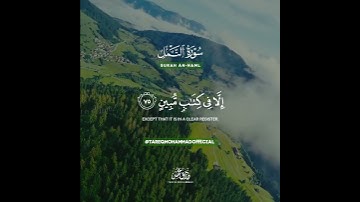 وَإِنَّهُ لَهُدًى وَرَحْمَةٌ لِلْمُؤْمِنِينَ || طارق محمد || من سورة النمل