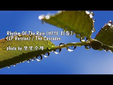 Rhythm Of The Rain (비의 리듬)(LP <strong>Version</strong>) / The Cascades &amp;<strong>amp</strong>; photo by 모모수계