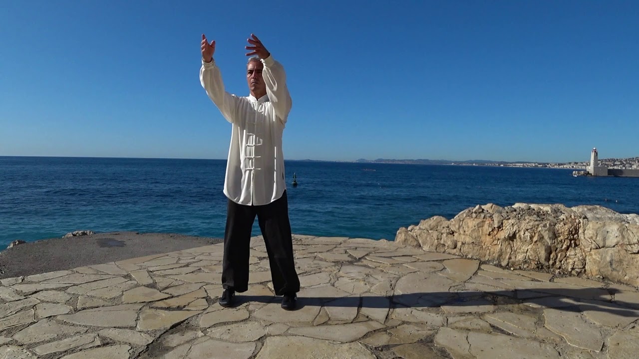 CHUM KIU Snake Crane Wing Chun 2nd Form