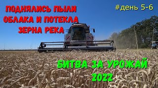 ГОЛОДА НЕ БУДЕТ / На Кубани Неплохой Урожай Зерновых 2022 / Битва За Урожай 2022.