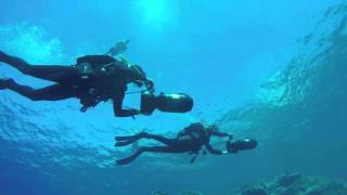 Manta Diving Video 2015