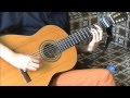 Zindagi Gulzar Hai OST Acoustic Cover by AZ