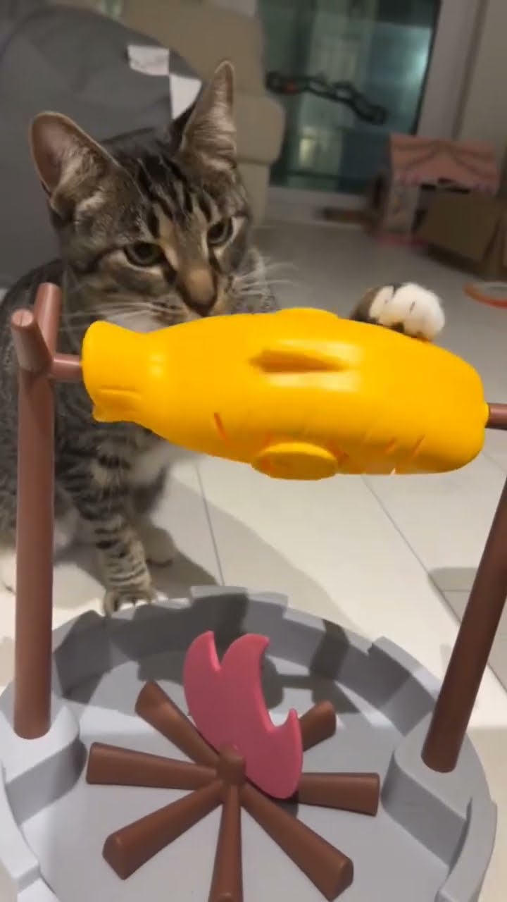 Très drôle le chat