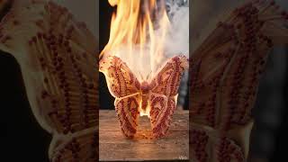 I Built a Hyper-Realistic Atlas Moth Using 10,000 Matchsticks! (Satisfying ASMR)
