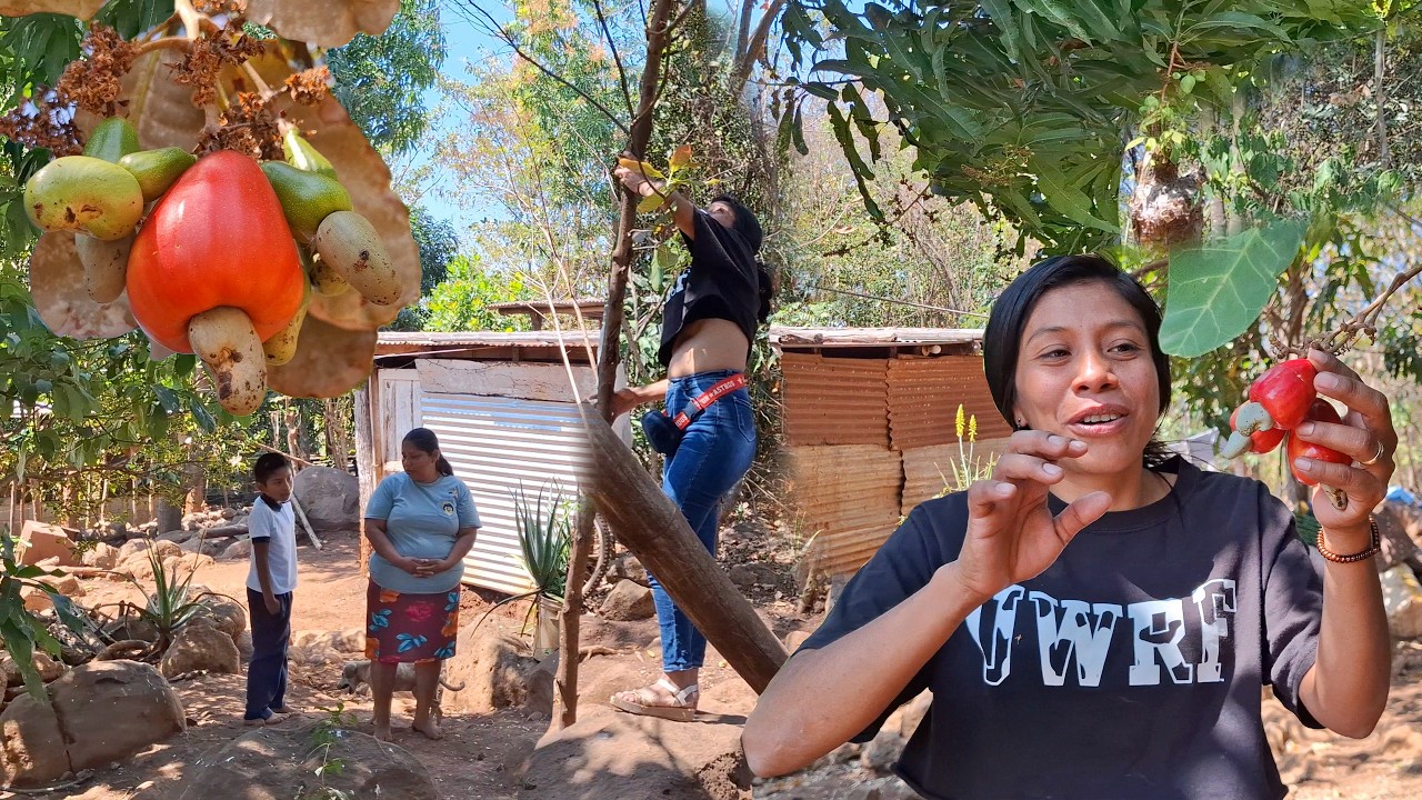 Se Habian Perdido Y Vaya Sorpresa que nos dimos al Descubrir que en esta Humilde Casita hay una de