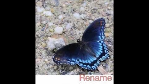 FileXChange 2.0: how to share files between iPhone and Mac, PC, Linux and Android