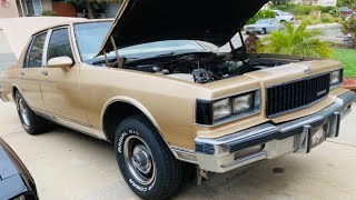 New Box Chevy Project / 1986 Caprice Classic Brougham / 350 Motor Swap Issues