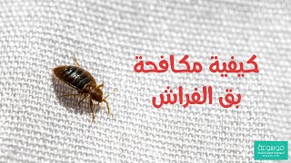 وصفات فعالة في التخلص من البق