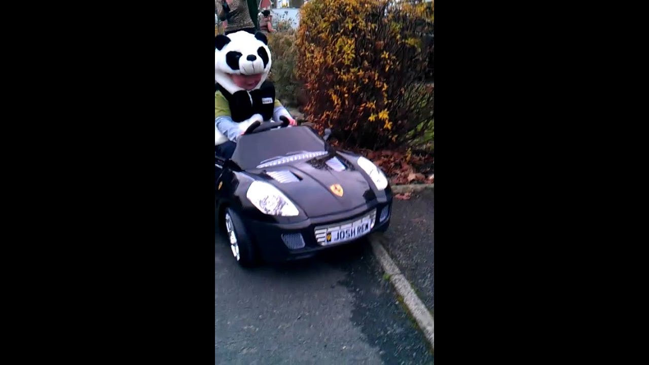 Panda driving a car - YouTube
